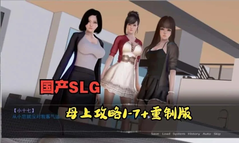 母上攻略 母上攻略中文官网PC版 封面图